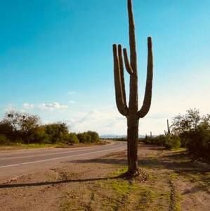 Meet your Posher, Felipe